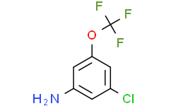 3-氯-5-(三氟甲氧基)苯胺