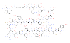 Biotin-Ahx-ω-Conotoxin GVIA