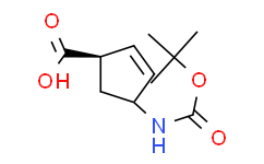 (1R，4S)-4-((叔丁氧羰基)氨基)环戊-2-烯甲酸,≥95%
