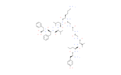 Amyloid β-Peptide (10-20) (human)