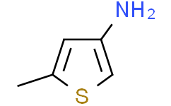 5-甲基-3-氨基噻吩