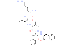 β-Amyloid peptide(16-20)