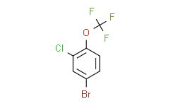 1-(三氟甲氧基)-2-氯-4-溴苯,97%