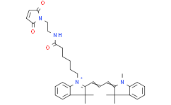 1-(6-((2-(2，5-Dioxo-2，5-dihydro-1H-pyrrol-1-yl)ethyl)amino)-6-oxohexyl)-3，3-dimethyl-2-(3-(1，3，3-trimethylindolin-2-ylidene)prop-1-en-1-yl)-3H-indol-1-ium