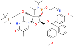 2'-O-tert-Butyldimethylsilyl-5'-O-DMT-5-methyluridine 3'-CE phosphoramidite