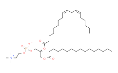 1-palmitoyl-2-linoleoyl-sn-glycero-3-phosphocholine