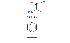 ((4-(叔丁基)苯基)磺酰基)丙氨酸