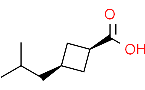 cis-3-Isobutylcyclobutane carboxylic acid