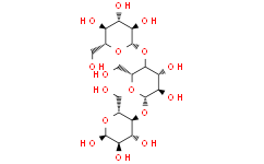 β-葡聚糖