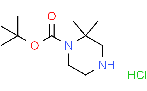 tert-butyl 2,2-dimethylpiperazine-1-carboxylate hydrochloride