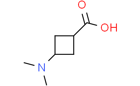 3-(dimethylamino)cyclobutane-1-carboxylic acid