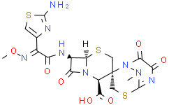 α-Enolase (human, recombinant)