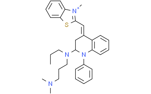 核苷酸胶体染料；SYBR Green I