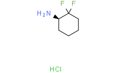 (1R)-2,2-二氟环己-1-胺盐酸盐
