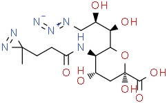 9-Azido-Neu5DAz,98%