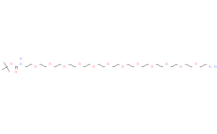 Boc-NH-PEG12-NH2