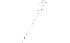 MPEG6-Mal