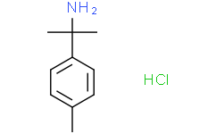 2-（对甲苯基）丙基-2-胺盐酸盐,95%