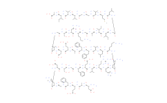 β-Amyloid (1-42), (rat/mouse)