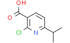 2-氯-6-异丙基烟酸,97%