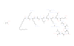 Autocamtide-2-related inhibitory peptide