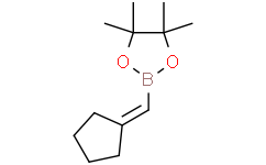 2-（亚环戊基甲基）-4，4，5，5-四甲基-1，3，2-二氧杂硼烷