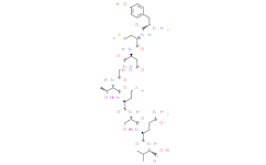 [Asp371]-Tyrosinase (369-377), human