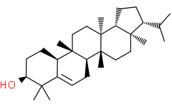 2'-ACETYLTAXOL