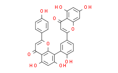 穗花杉双黄酮,≥99.0%(HPLC)