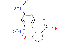 N-(2，4-二硝基苯)-L-脯氨酸,98%