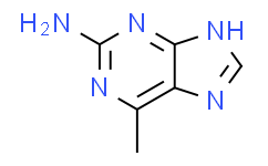 6-甲基-1H-嘌呤-2-胺,95%