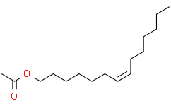 顺-7-十四碳乙酸酯