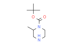 (R)-1-N-Boc-2-甲基哌嗪,98%