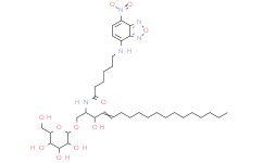 C6NBD-神经鞘氨醇,BETA-D-半乳糖基