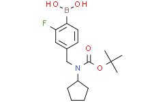 (4-(((叔-丁氧基羰基)(环戊基)氨基)甲基)-2-氟苯基)硼酸