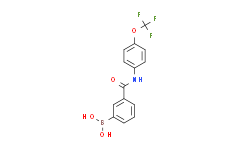 (3-((4-(三氟甲氧基)苯基)氨基甲酰)苯基)硼酸,98%