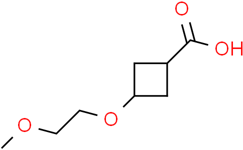 3-(2-methoxyethoxy)cyclobutane-1-carboxylic acid