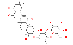 2025新老澳门原料