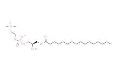 1-Palmitoyl-sn-glycero-3-Phosphocholine