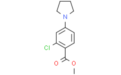 2-氯-4-(1-吡咯烷基)苯甲酸甲酯,≥97%