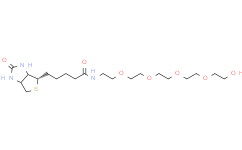 Biotin-PEG5-OH