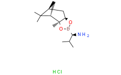 (1R)-2-methyl-1-[(1S，2S，6R，8S)-2，9，9-trimethyl-3，5-dioxa-4-boratricyclo[6.1.1.0²，⁶]decan-4-yl]propan-1-amine hydrochloride