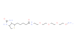 生物素-三乙二醇-氧胺盐酸盐