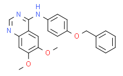 EGFR/ErbB2 Inhibitor