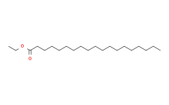 十九烷酸乙酯(C19:0)