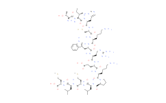 MCH-Gene-Overprinted-Polypeptide-14 (rat)