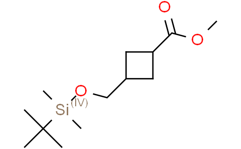 methyl 3-[[tert-butyl(dimethyl)silyl]oxymethyl]cyclobutanecarboxylate