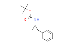 叔丁基反式-（2-苯基环丙基）氨基甲酸酯,95%