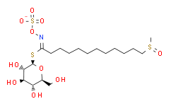 11-(Methylsulfinyl)undecyl-glucosinolate