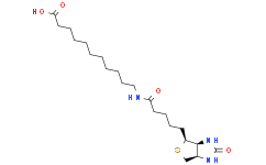 (+)-Biotin-SLC